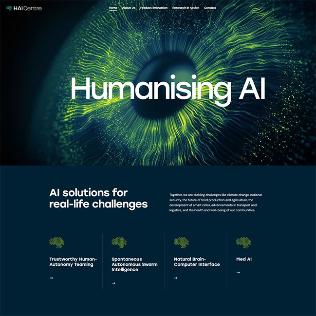 Human-Centric AI
